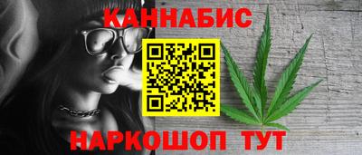 сатива Моздок