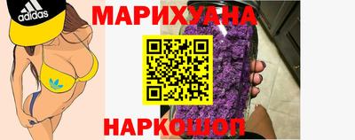 сатива Моздок