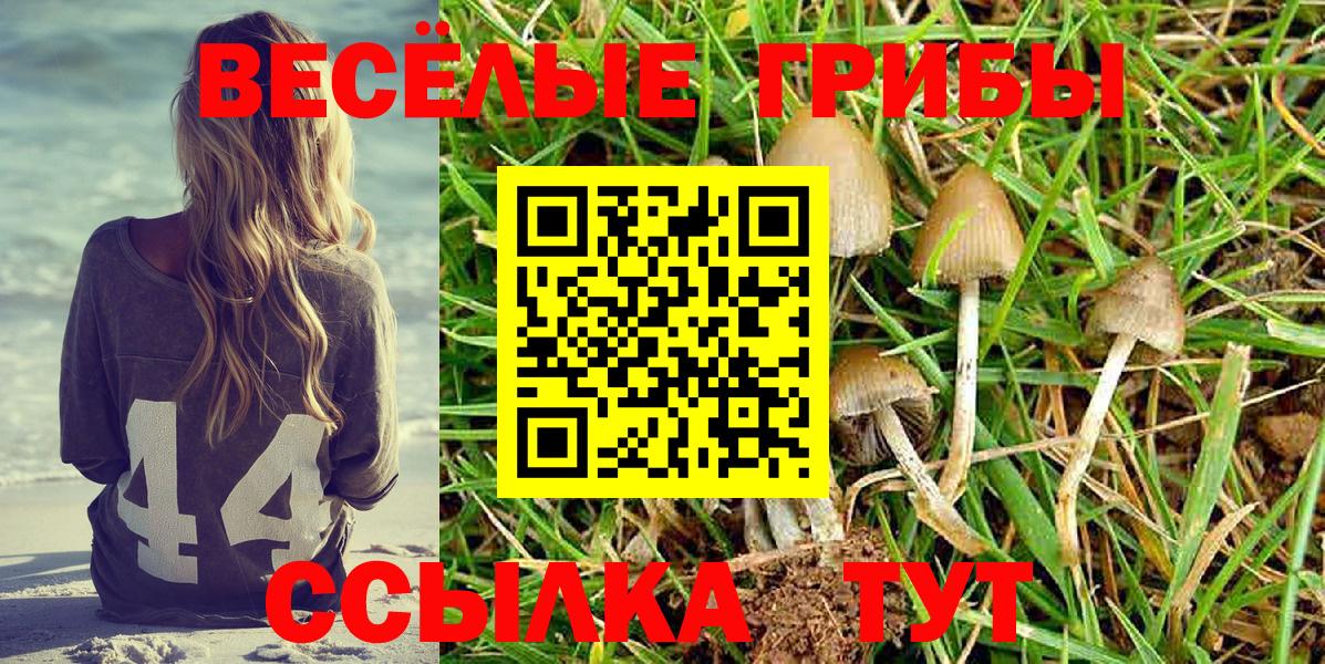 Галлюциногенные грибы GOLDEN TEACHER Волоколамск