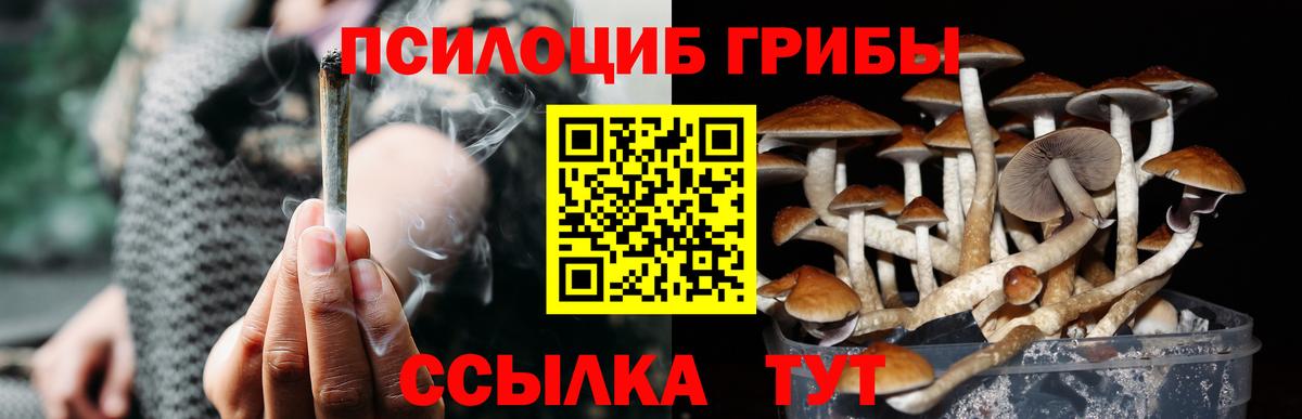 Волоколамск  Галлюциногенные грибы Cubensis  Вход с VPN 